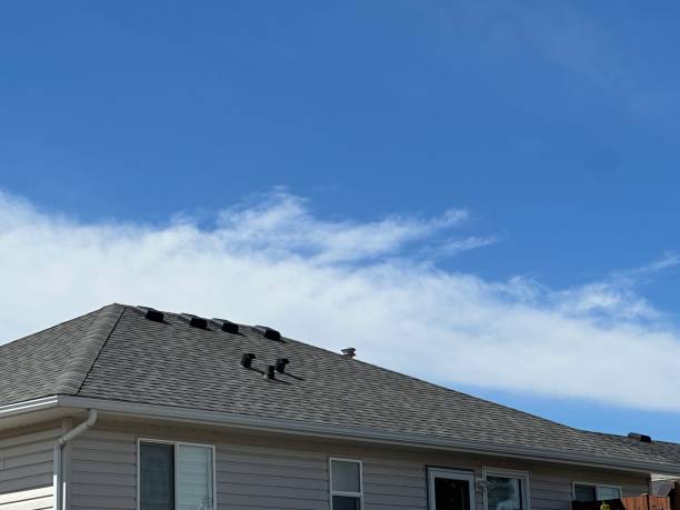 Best Roof Coating Services  in Watervliet, NY